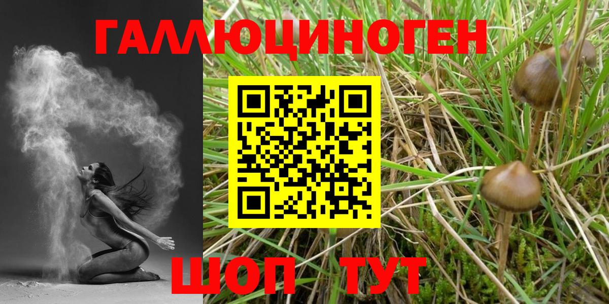 Псилоцибиновые грибы Psilocybe  Вход с VPN  Норильск 